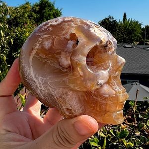 Flower Agate Skull - Sakura Agate